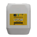 LÓTUS SAFE TECH